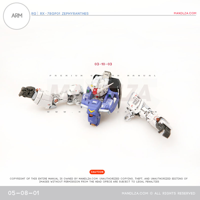 RG] Zephyranthes ARM 05-08