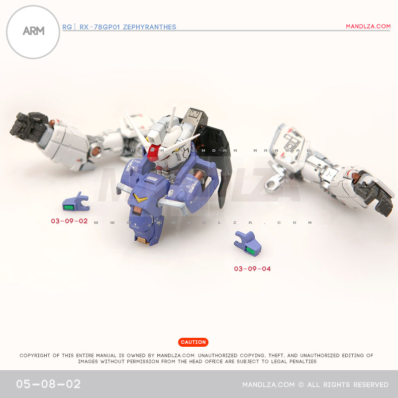 RG] Zephyranthes ARM 05-08