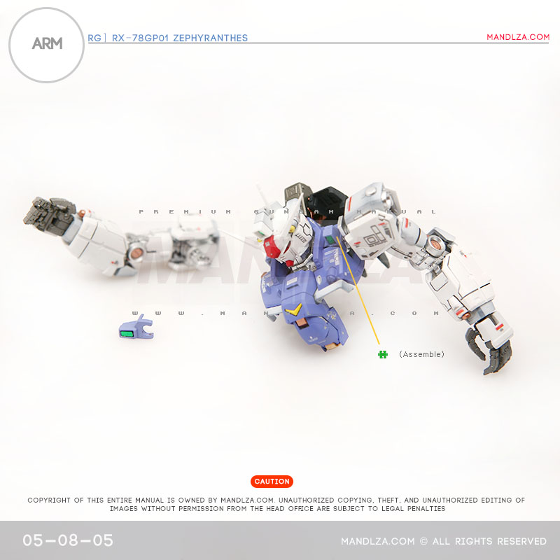 RG] Zephyranthes ARM 05-08