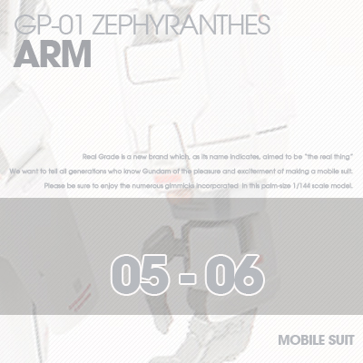 RG] Zephyranthes ARM 05-06