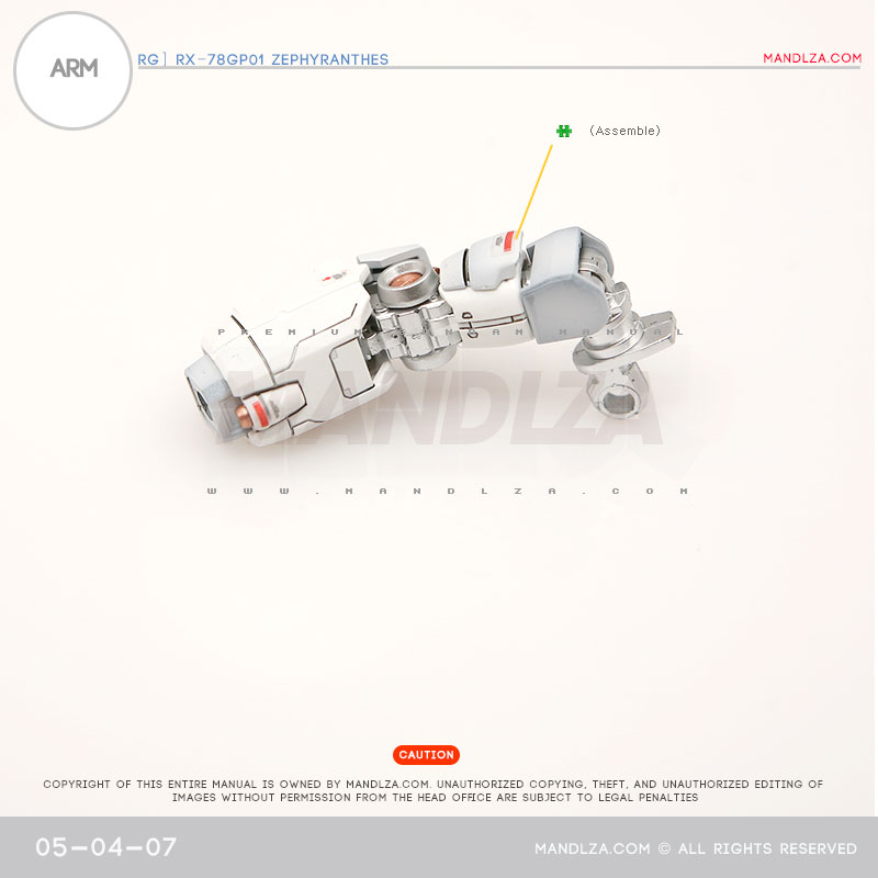 RG] Zephyranthes ARM 05-04