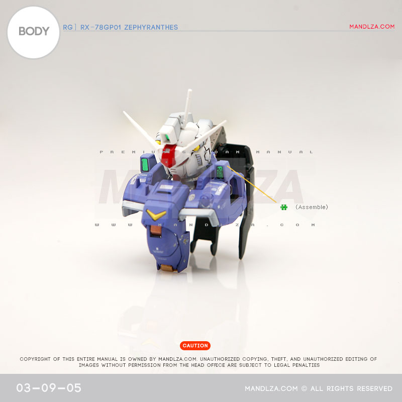 RG] Zephyranthes BODY 03-09
