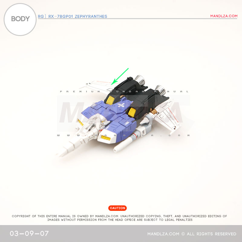 RG] Zephyranthes BODY 03-09