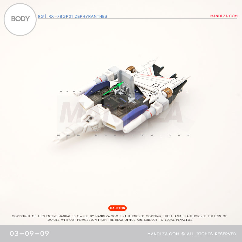 RG] Zephyranthes BODY 03-09