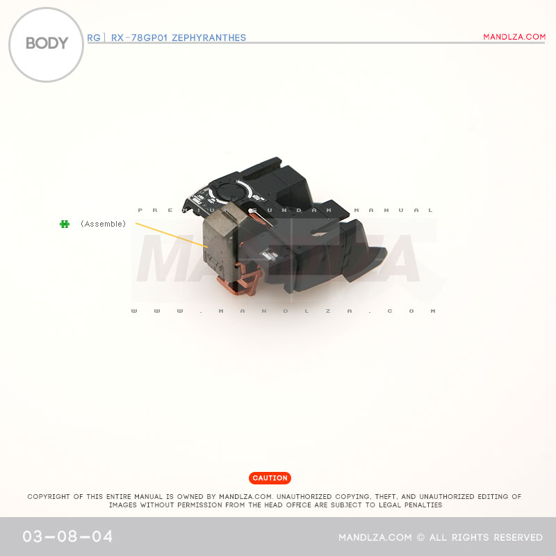 RG] Zephyranthes BODY 03-08