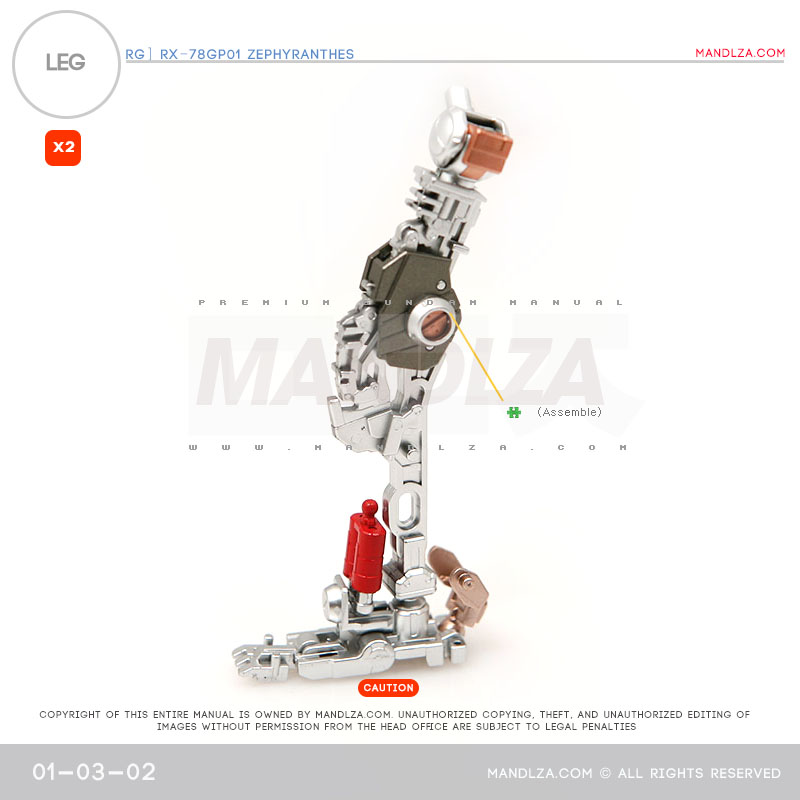 RG] Zephyranthes LEG 01-03