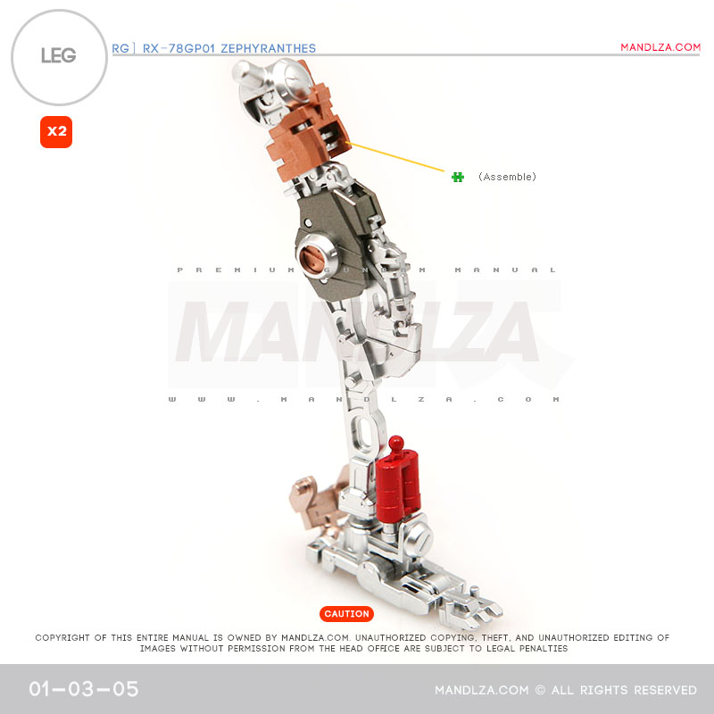 RG] Zephyranthes LEG 01-03