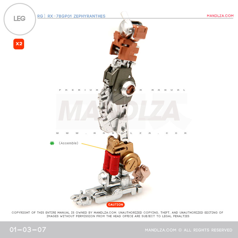 RG] Zephyranthes LEG 01-03