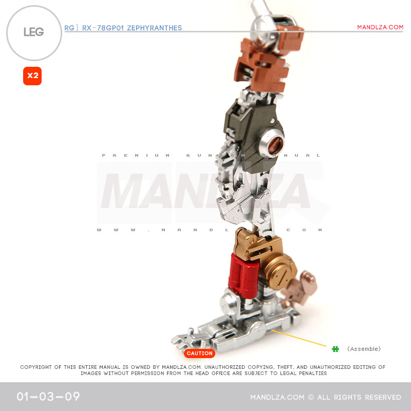 RG] Zephyranthes LEG 01-03