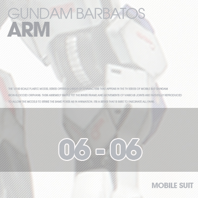 INJECTION] Barbatos 1/100 ARM 06-06