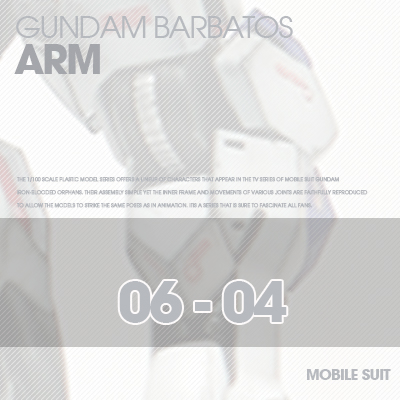 INJECTION] Barbatos 1/100 ARM 06-04