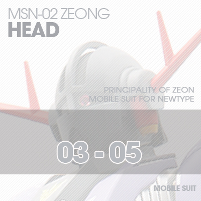 MG] MSN-02 ZEONG HEAD 03-05