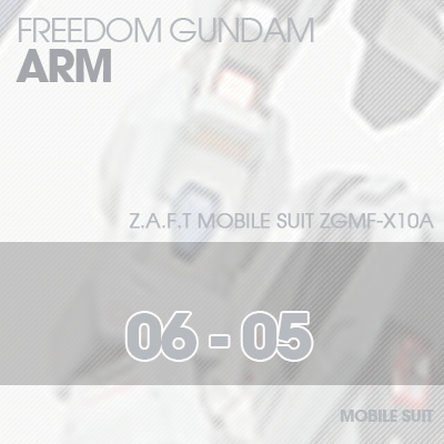 MG] ZGMF-X10A FREEDOM GUNDAM ARM 06-05