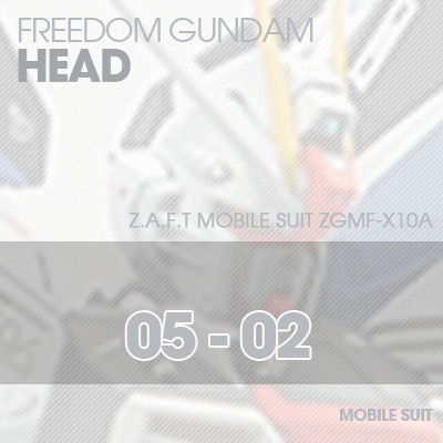 MG] ZGMF-X10A FREEDOM GUNDAM HEAD 05-02