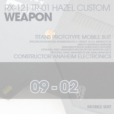 INJECTION] Hazel custom 1/100 WEAPON 09-02