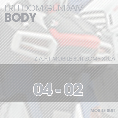 MG] ZGMF-X10A FREEDOM GUNDAM BODY 04-02