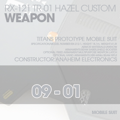 INJECTION] Hazel custom 1/100 WEAPON 09-01