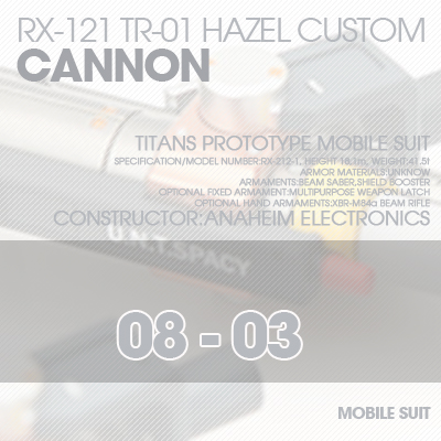 INJECTION] Hazel custom 1/100 CANNON 08-03