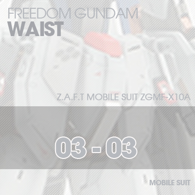 MG] ZGMF-X10A FREEDOM GUNDAM WAIST 03-03