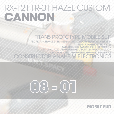 INJECTION] Hazel custom 1/100 CANNON 08-01