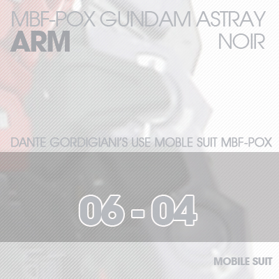 MG] ASTRAY NOIR ARM 06-04