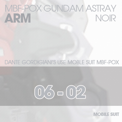 MG] ASTRAY NOIR ARM 06-02
