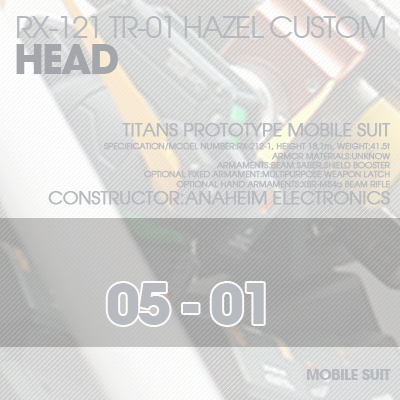 INJECTION] Hazel custom 1/100 HEAD 05-01