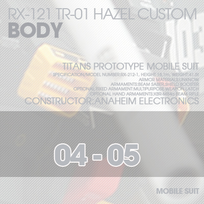 INJECTION] Hazel custom 1/100 BODY 04-05