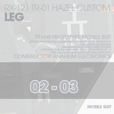 INJECTION] Hazel custom 1/100 LEG 02-03