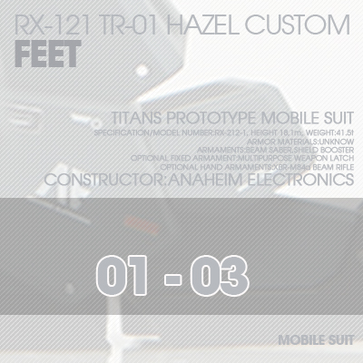 INJECTION] Hazel custom 1/100 FEET 01-03