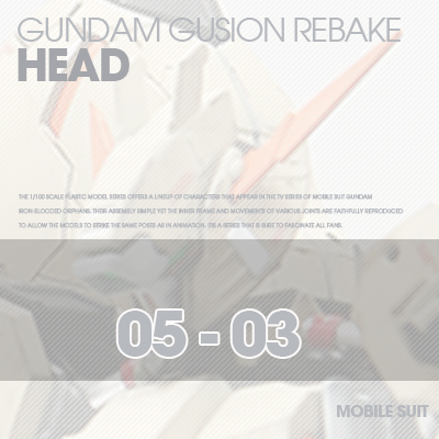 INJECTION] Gusion 1/100 HEAD 05-03