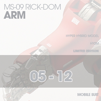 INJECTION] Rick-Dom HY2M 1/60 ARM 05-12