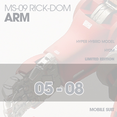 INJECTION] Rick-Dom HY2M 1/60 ARM 05-08