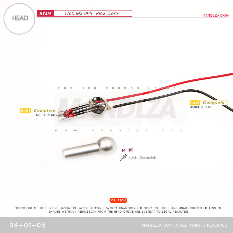 INJECTION] Rick-Dom HY2M 1/60 HEAD 04-01