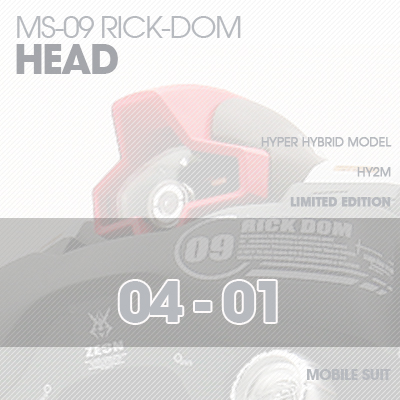 INJECTION] Rick-Dom HY2M 1/60 HEAD 04-01