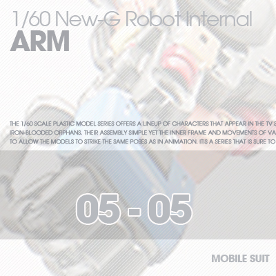 RESIN] INTERNAL FRAME ARM 05-05