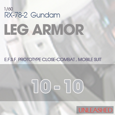 LEG ARMOR 10-10