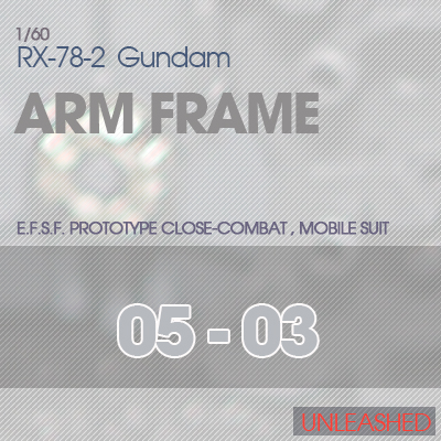 ARM FRAME 05-03