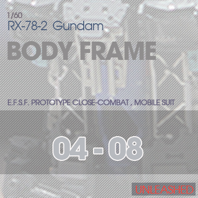 BODY FRAME 04-08